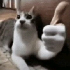 NEL Isagi - azure latch modded