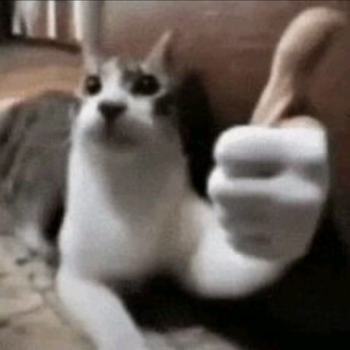 NEL Isagi - azure latch modded