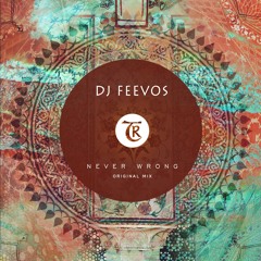 𝐏𝐑𝐄𝐌𝐈𝐄𝐑𝐄: Dj Feevos - Never Wrong [Tibetania Records]