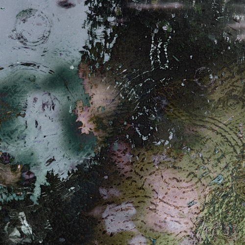 Eloi Petillon - Reflux