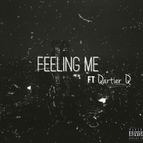 Vibes Ft Qartier Q- feeling me