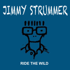 Ride The Wild (Descendents cover)