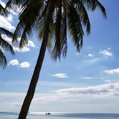 Sunny June
