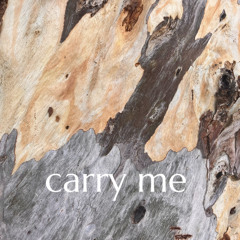 carry me - the secret sisters