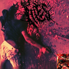 PILES (USA) - Compressed