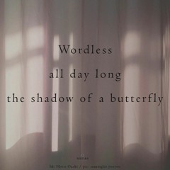 Butterfly Shadow - (Naviarhaiku - 532)