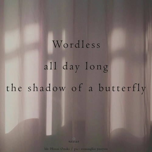 Butterfly Shadow - (Naviarhaiku - 532)