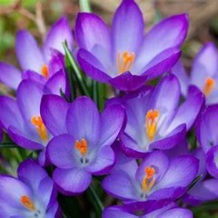 Her Saint 🎸⋆⭒˚｡⋆✧ (lecie,lawal)