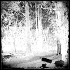 10.- OrgasmaMix (Cover)