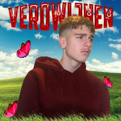 Verdwijnen