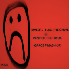 I Like The Groove + Doja (Grace P Mash-Up)