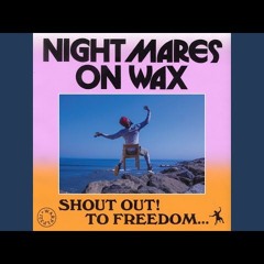 Nightmares on Wax - 3D Warrior - Bird Edit