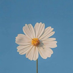 Aankhen_Teri_Kitni_Haseen_-_Lofi_Mix_[Slowed___Reverb]_