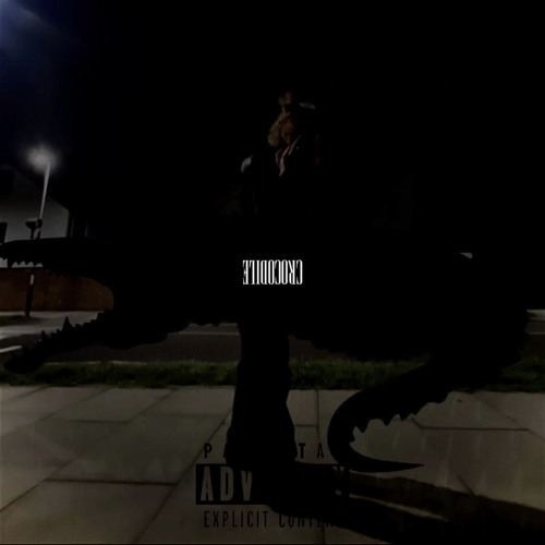 CROCODILE ft N4T <happyaccident x dxnieldior>