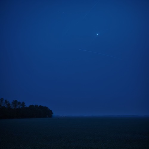 ByErik ヵ - desolate (Sped Up) | Out on all Platforms!