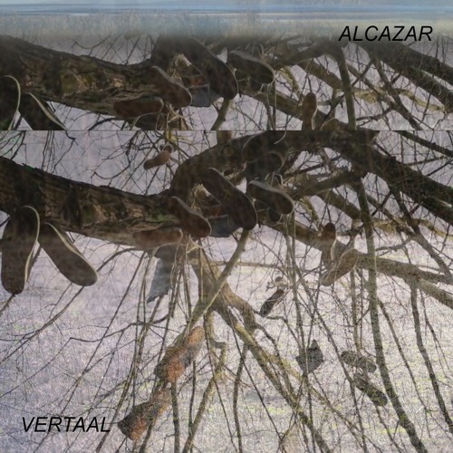 Exclusive Premiere: Vertaal "Alcazar" (Forthcoming on Empty Quarter Tribe)