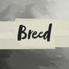 A Thousand Knives - Breed