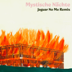 Mystische Nächte (Jaguar No Me Remix)