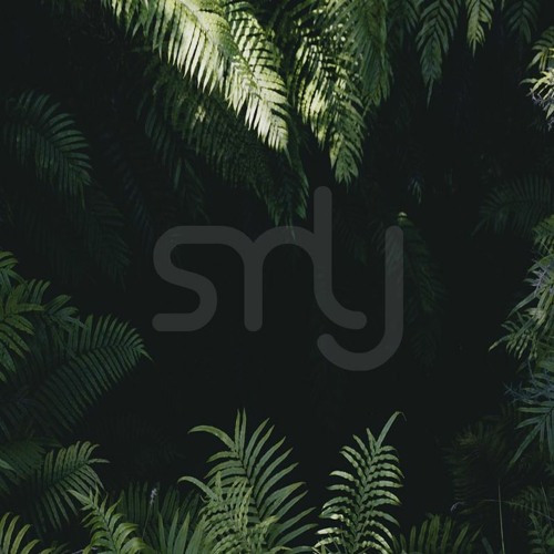 Stream Jungle Mini Mix by SMLY | Listen online for free on SoundCloud