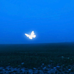 Buried Light