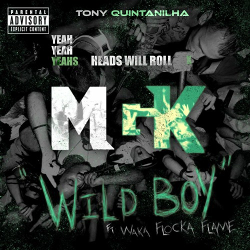 HEADS WILL ROLL X WILD BOY