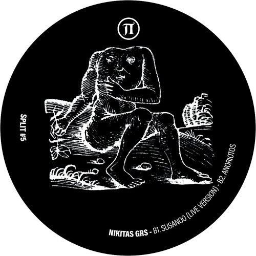 PREMIERE: Nikitas GRS - Polinator 5000 [PI ELECTRONICS]