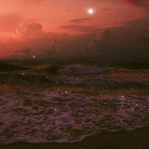 Of Rust & Bone - Next to You (Remix)