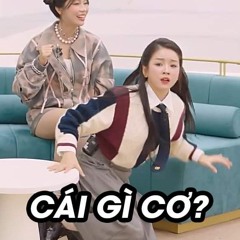 CHƯA QUÊN NGƯỜI YÊU CŨ - Chị Đẹp Đạp Gió Rẽ Sóng (youtube).mp3