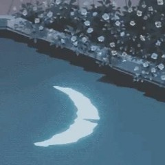 Silent Moon.mp3  🌙 Idea