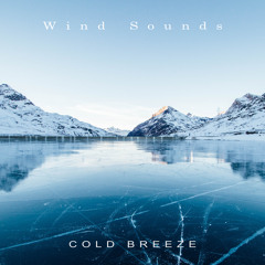 Relaxing Wind Ambience