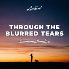 inamomentimalive - Through The Blurred Tears