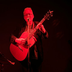 Nightingale of Berlin (solo)