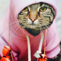 RU8IO's HOUSECAT Set