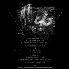 shadows of WIDDER - Side B (vinyl rip)