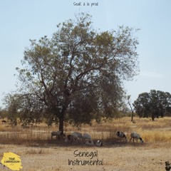 Instrumental | SeaK | SENEGAL