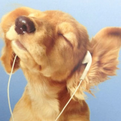 ✮⋆˙vejo estrelas˙⋆✮