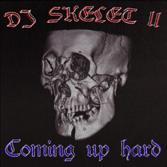 DJ SKELET - PAIN AND PLEASURE