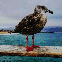 seven sisters - 10:30:23, 5.27 PM