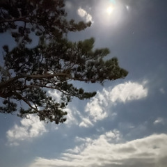 Shake  （shiny&MOON）