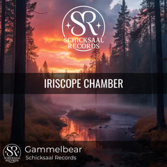 Iriscope Chamber