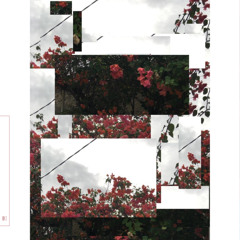 2M1D & noguchii - fate // daydreams