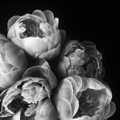 П.М.М.Л. - 𝚉𝚎𝚖𝚏𝚒𝚛𝚊 (𝚜𝚕𝚘𝚠𝚎𝚍)