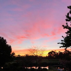 LIVE in lockdown pt. 1