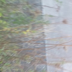 Und Wir liefen durch den Regen