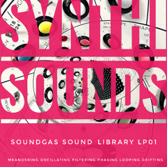 Synthi A Soundgas Sounds LP01 trk1