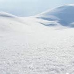 Black Snow (Violin Lead)
