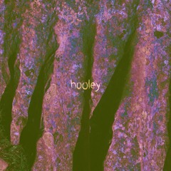 episode IX ~ w/ Hooley