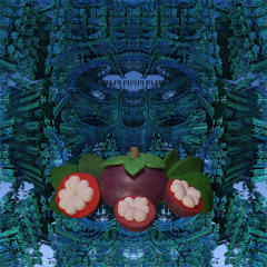 ponder moving Neptune burgundy