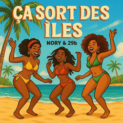 ÇA SORT DES ÌLES (feat. NORY, 29B & DJ SYXTEE)
