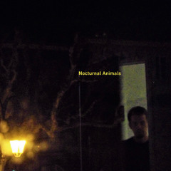 Nocturnal Animals